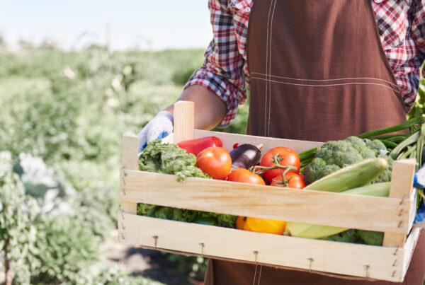 Asesoramiento legal Abogados