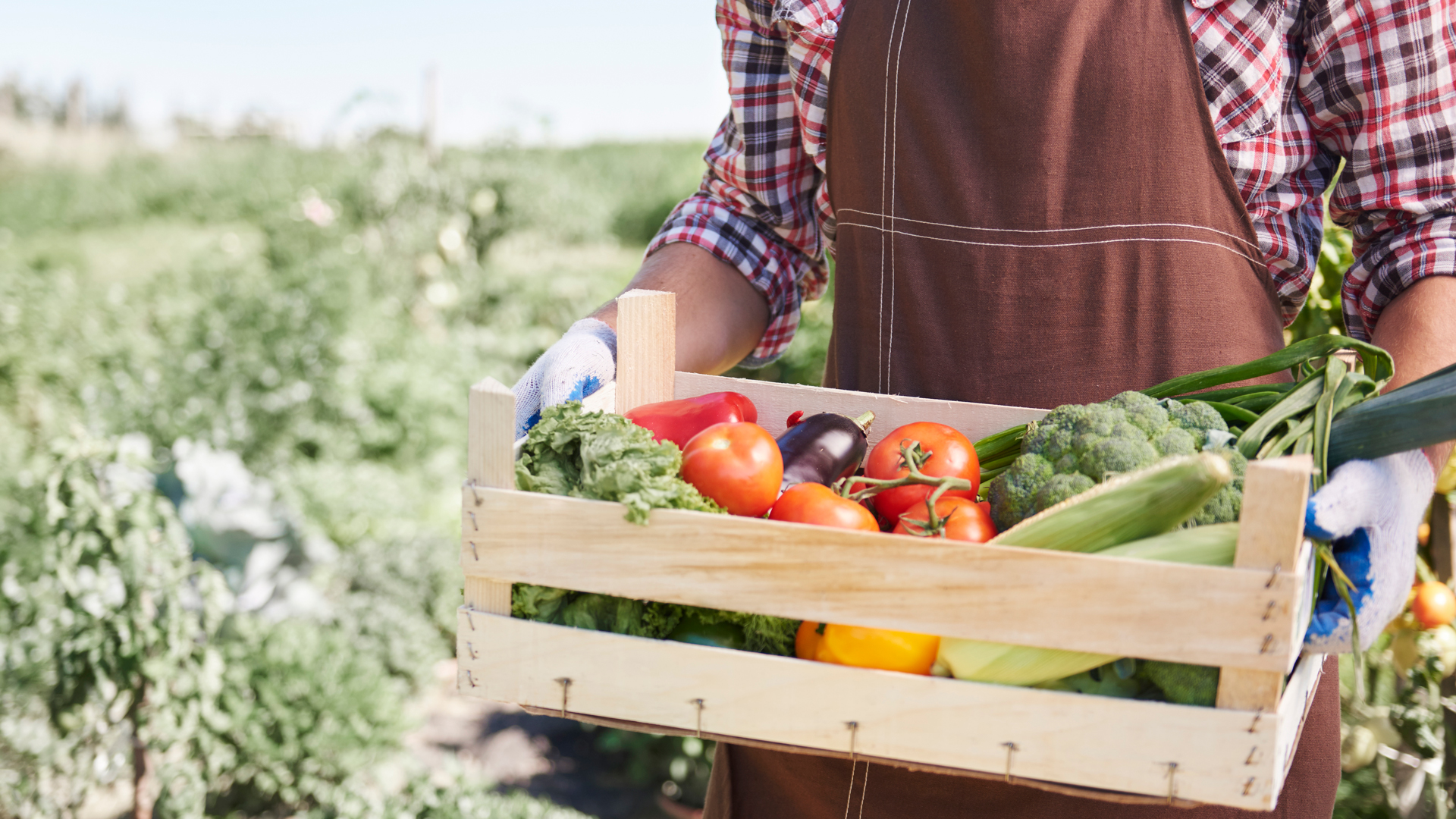 Ayudas jóvenes agricultores/as en Extremadura