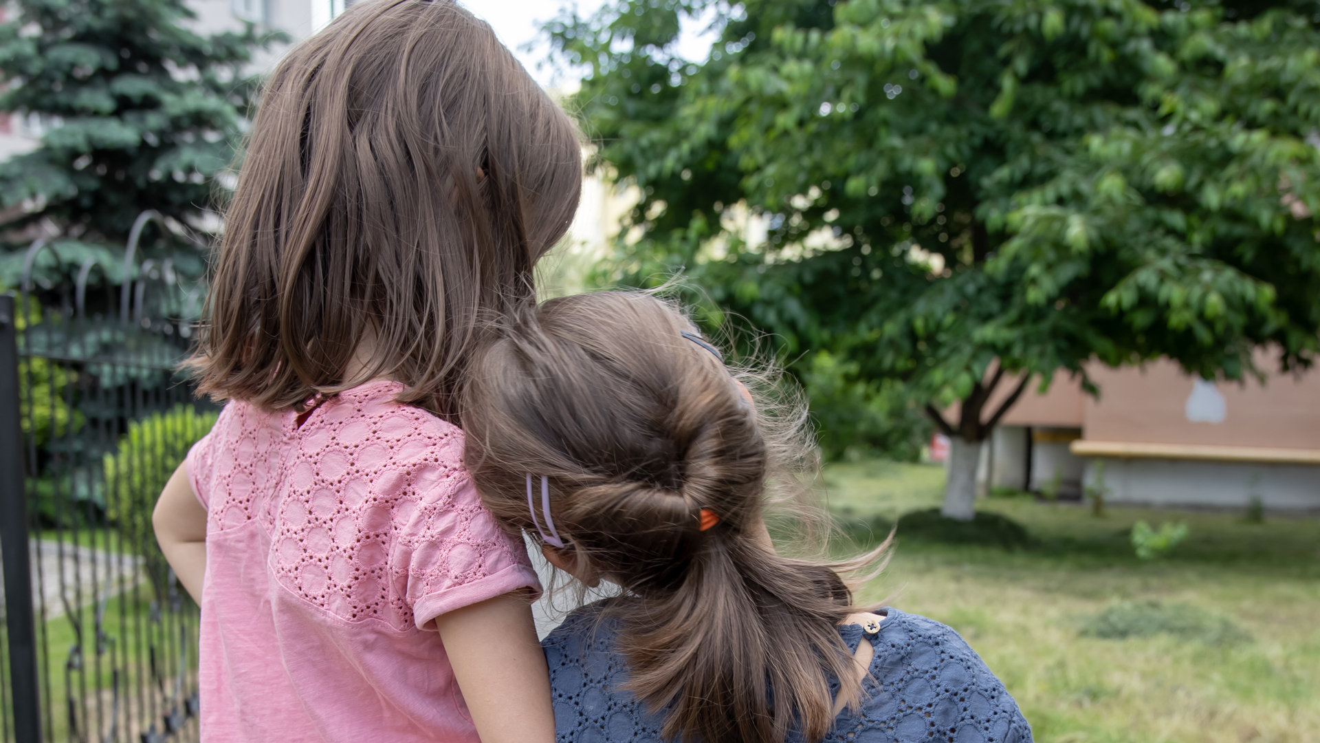 Tutela y Curatela: Diferencias y especificaciones de cada una