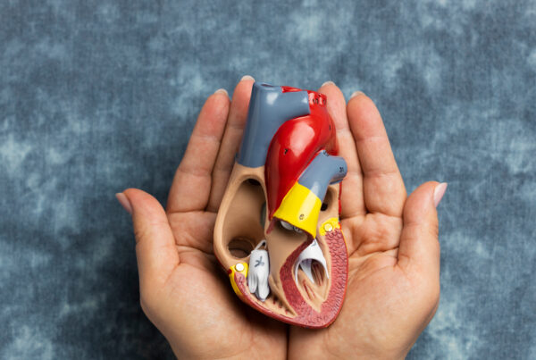 Asesoramiento legal Abogados