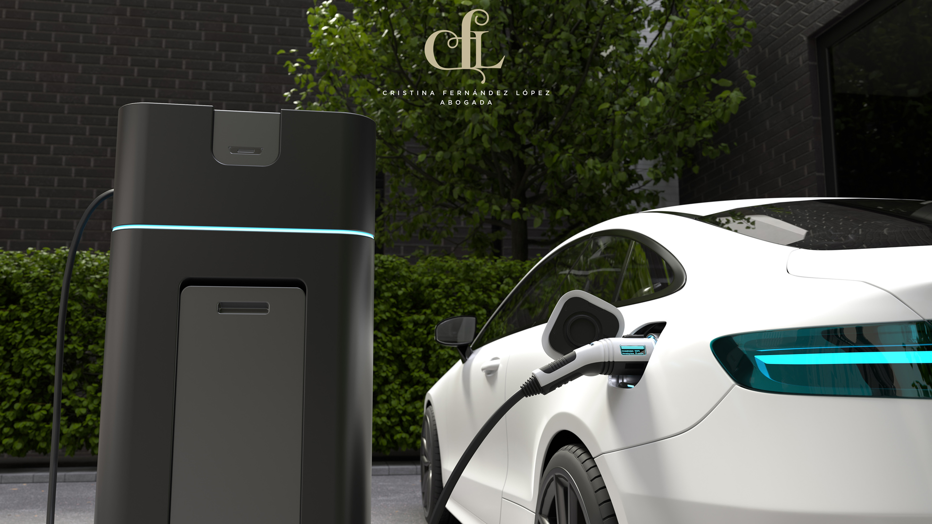 Afectados por el Plan Moves: posible actuación frente al Estado